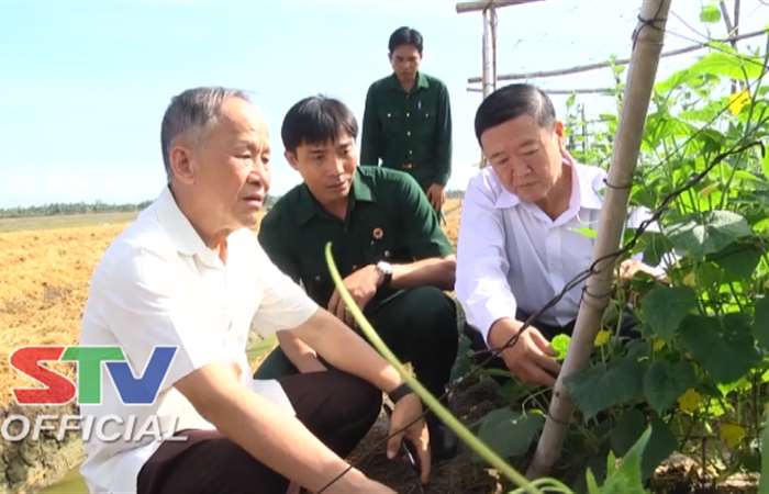 Phấn đấu giảm tỷ lệ hộ hội viên Cựu chiến binh nghèo xuống còn 1,5%